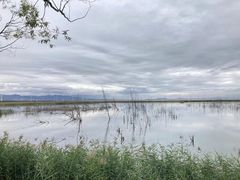 -野鸭湖国家湿地公园