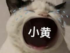 -胖哥俩肉蟹煲(来福士店)