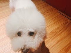 -伽利略剧本探案馆(国贸店)