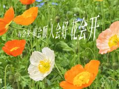 -武汉园博园(武汉自然博物馆)