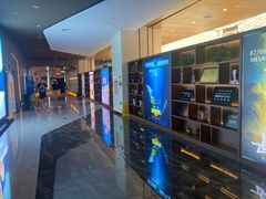 -深影国际影城(学院南路店CGS中国巨幕店)