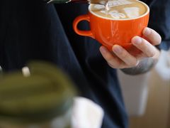 -SAFARI COFFEE