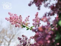 -国家植物园