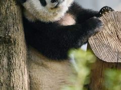 -杭州动物园