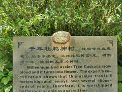 -王顺山国家森林公园