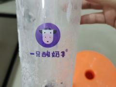 -一只酸奶牛(海南友谊阳光城店)