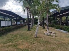 -亚龙湾国际玫瑰谷