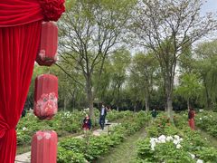 -合肥三国新城遗址公园