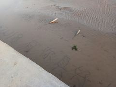 -碧海金沙