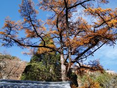 -崂山九水游览区