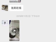 -瑞鹏宠物医院·骨科·猫科·内科(第一中心)