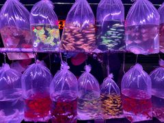 -华声天桥民俗文化园