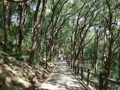 -苏州上方山国家森林公园