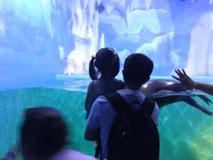 -多彩贵州城极地海洋世界