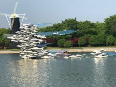 -上海鲜花港