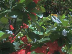 -武清南湖绿博园