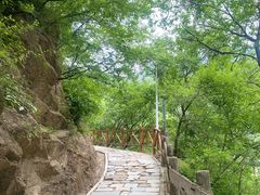 -大岭沟猕猴桃谷风景区