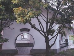 -上海共青森林公园