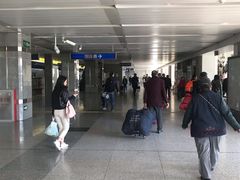 -望京西(地铁站)