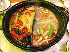 鸳鸯锅-XiaoJunGan Hotpot 钢管厂五区小郡肝火锅串串香