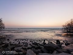 -宝安西湾红树林湿地公园