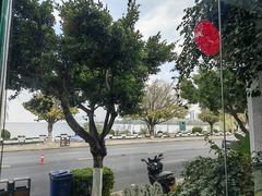 -野菌皇海景野生菌火锅(滨海大道店)