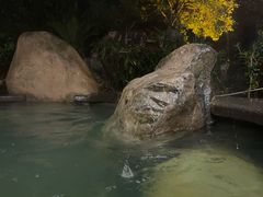 -溧阳天目湖天沐温泉