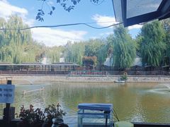 -尚庄度假村·庭台树下·户外烧烤·团建CS·轰趴营地(上庄水库店)