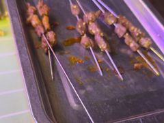 -福苗小骆驼烧烤(莲湖路店)
