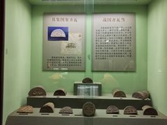 -古陶文明博物馆