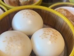 -东方早茶 海鲜•青岛菜(国信体育中心店)