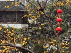 -东山雕花楼