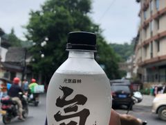 -孙奶奶葱包桧