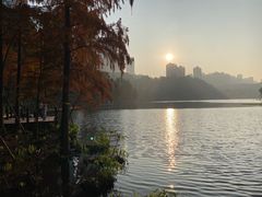 -重庆彩云湖湿地公园