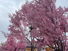 -首开·龙湖成都西宸天街