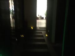 -Dragonfly悠庭·按摩Spa(浦东嘉里城店)