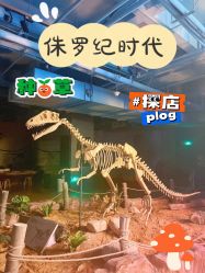 -卡森乐园
