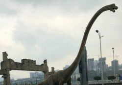 -恐龙探索乐园(磁器口店)