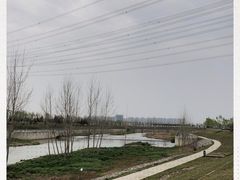 -洨河生态公园