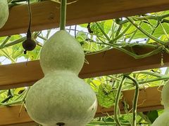 -中国天府农业博览园