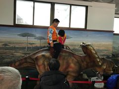 -自贡恐龙博物馆