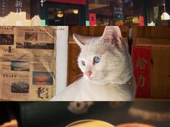 -新月集庭院咖啡馆(老邮局店)