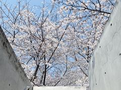 -龙美术馆(西岸馆)