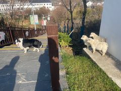-石塘人家