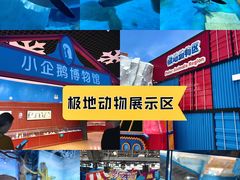 -海合安武汉极地海洋公园