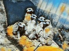 -昆明动物园