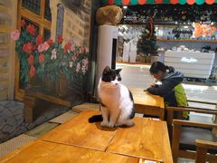 -萤火虫咖啡(后海店)
