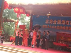 -北海金海湾红树林生态旅游区