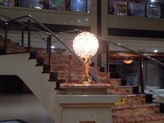 -金孔雀温泉旅游度假村