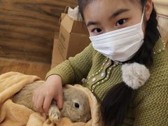 -猫猫幼稚园·撸猫·桌游·电玩